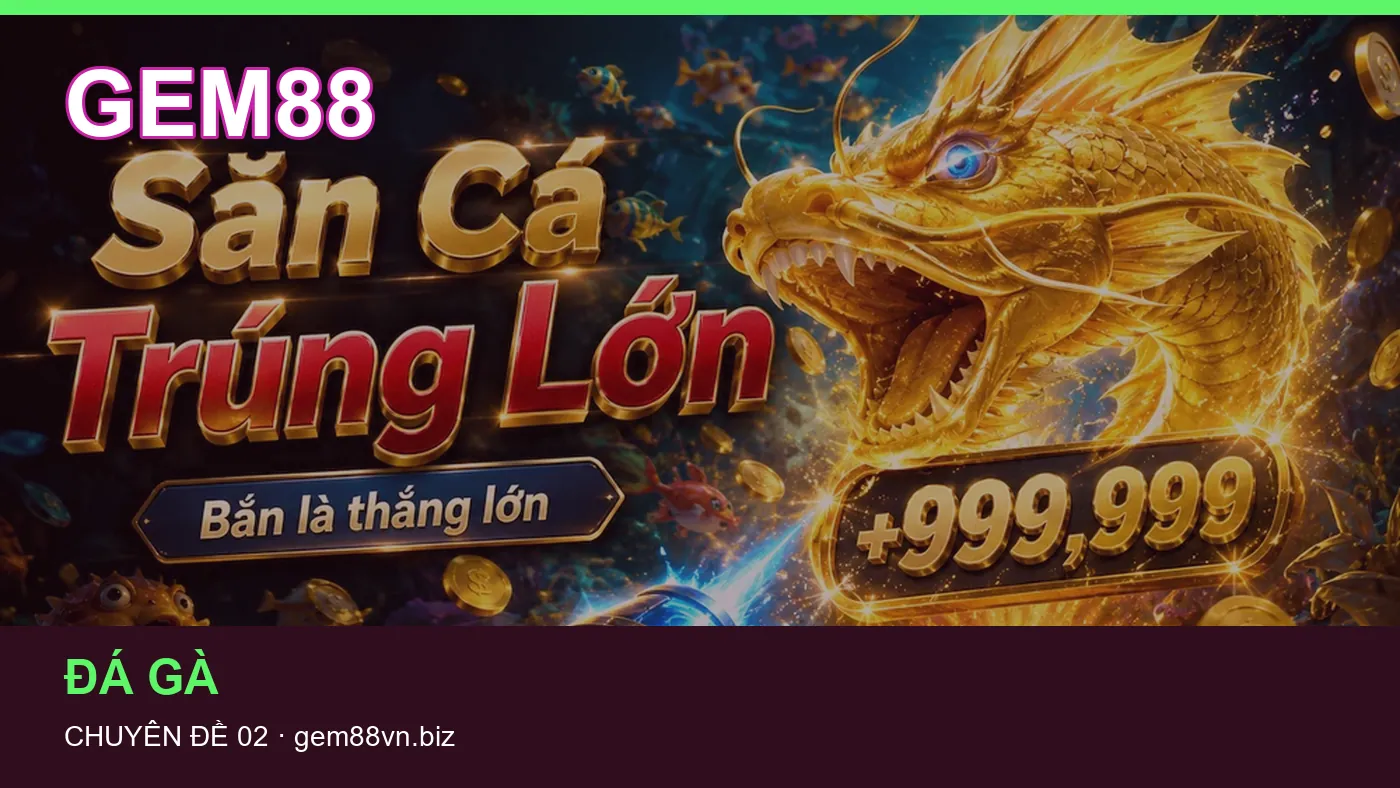 Những nhầm lẫn thường gặp khi đọc nội dung Đá gà trên GEM88
