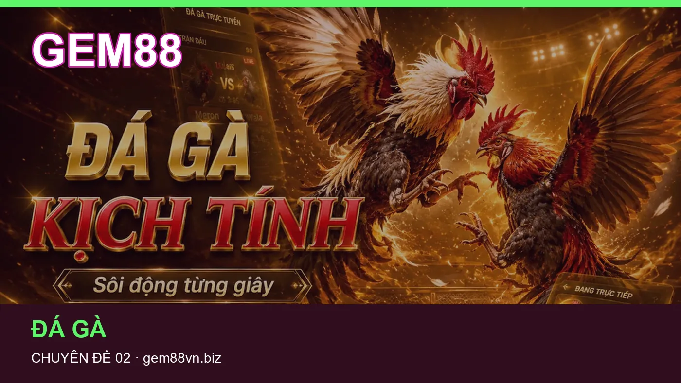 Đối chiếu nguồn và thời điểm cập nhật trong Chơi có trách nhiệm của GEM88